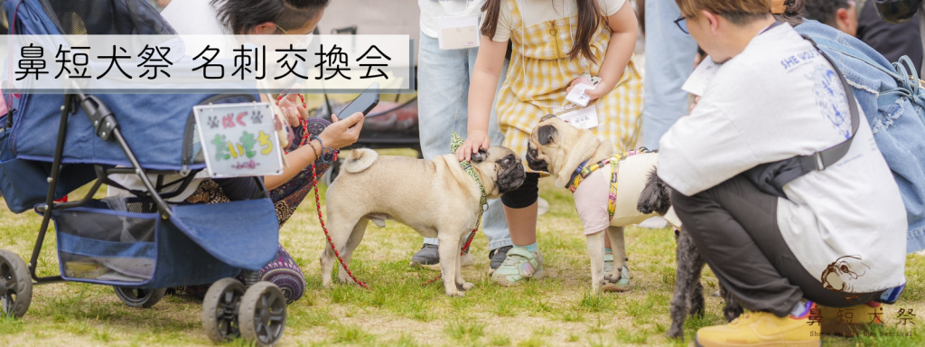 鼻短犬祭名刺交換会