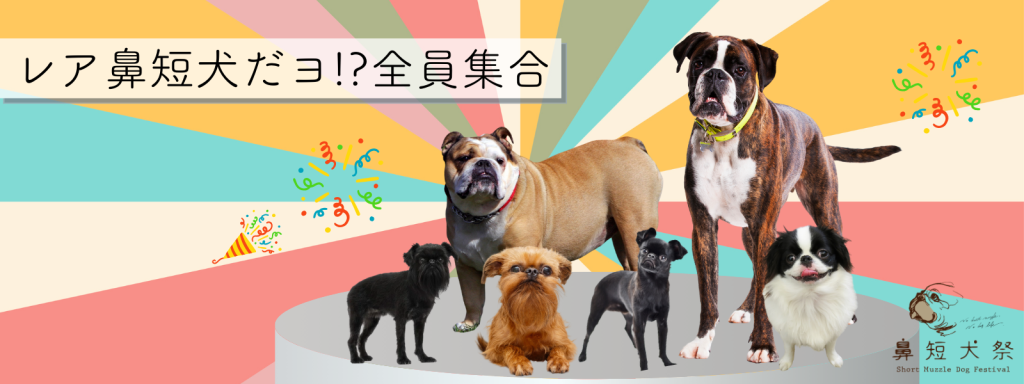 レア鼻短犬だヨ！？全員集合