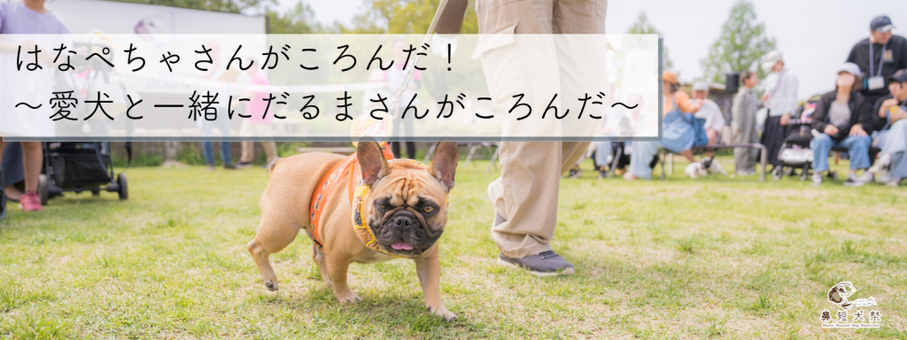 はなぺちゃさんがころんだ!〜愛犬と一緒にだるまさんがころんだ〜