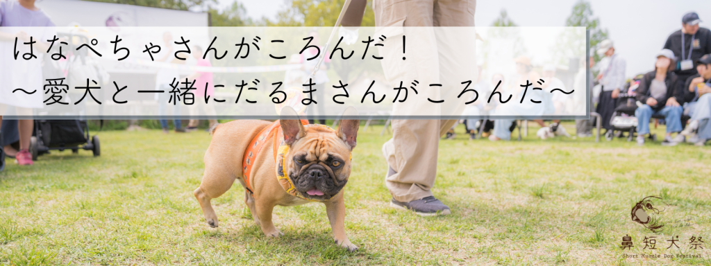 はなぺちゃさんがころんだ！〜愛犬と一緒にだるまさんがころんだ〜