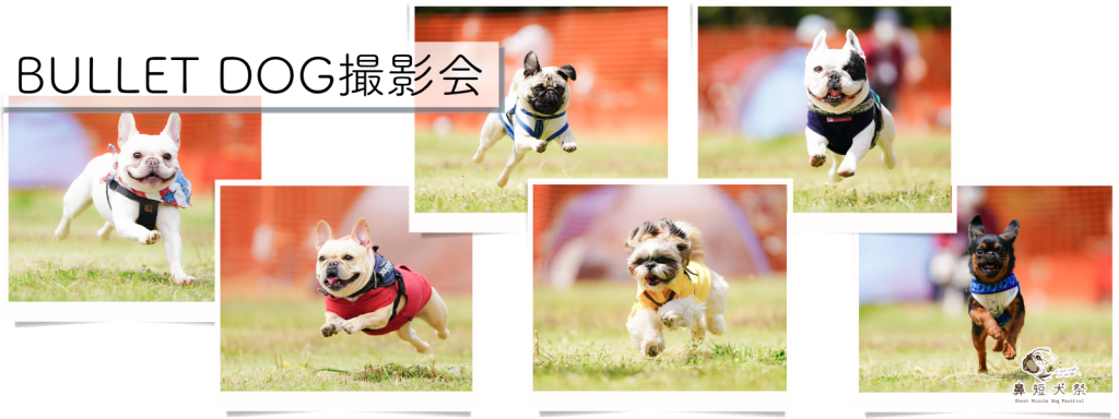 BULLET DOG撮影会