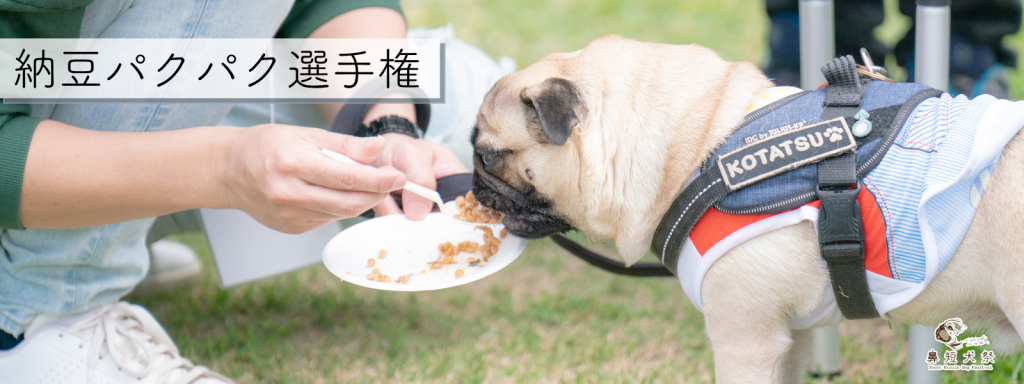 納豆パクパク選手権